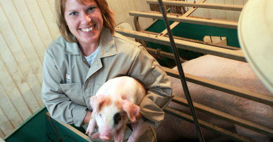 Des animaux en santé pour une viande de qualité supérieure.